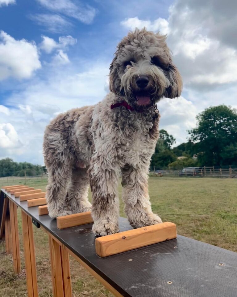 2110 22d9a7d58d9726ea4842751a3cf234fc 1 768x960