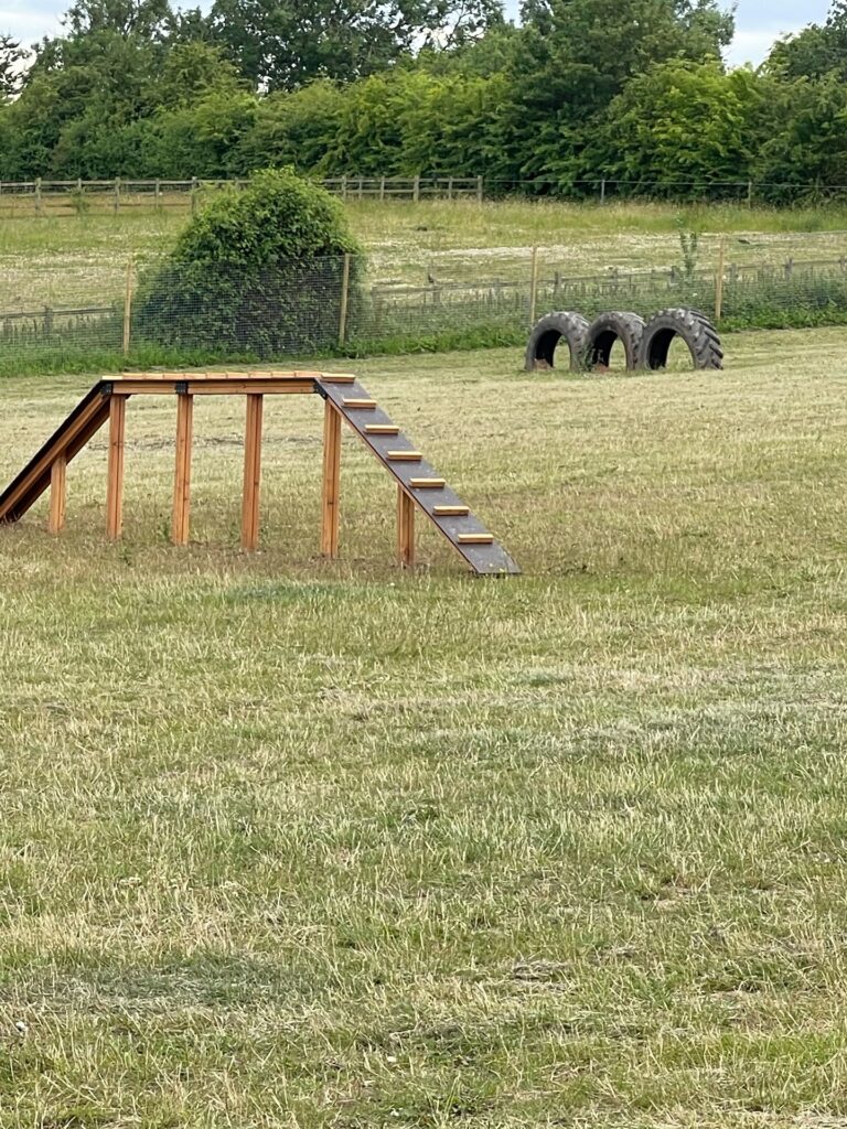 2110 6be2aca2cf32fe5ff2cf018fcf955e94 1 768x1024