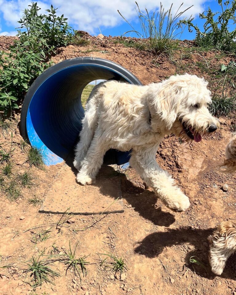 2110 b1a1cb48e0963b58915d05f133438d3c 1 768x960