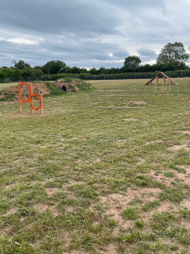 2110 d3a40586c462ec1c0ecdb6b709a9f0cd 1 768x1024