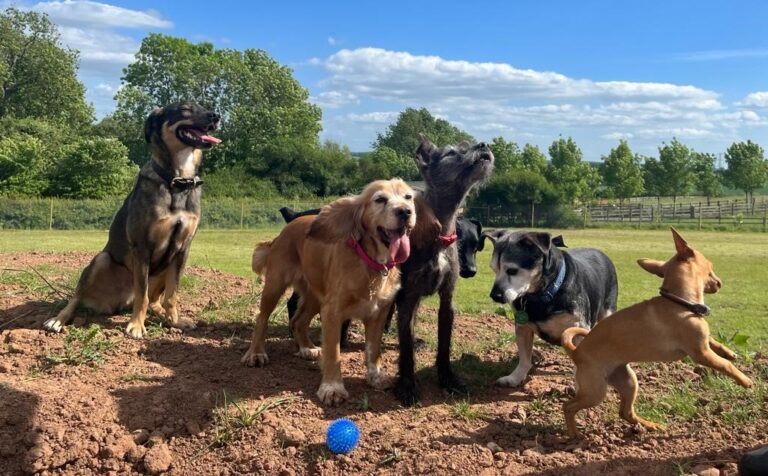 2110 db9b8be934042167ef389ad260843b41 1 768x476