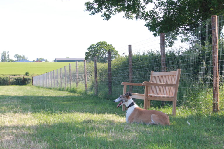 2111 10c40d5df73c65e838d5f589ace8c02e 1 768x512