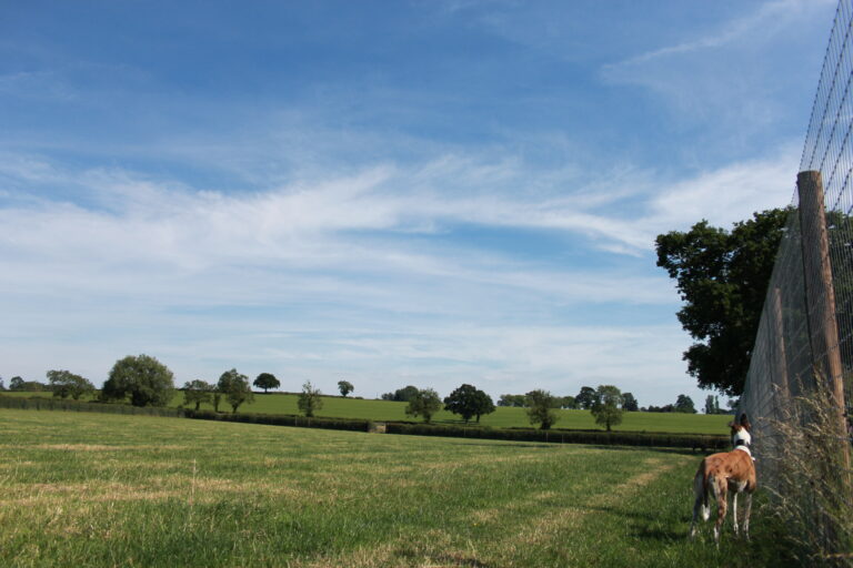 2111 49d55c3bc0b51248b8e14a6259af84b1 1 768x512