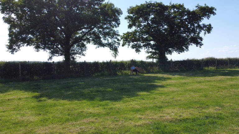 2111 4e88ca2847915d736618c7b055ed6d39 1 768x432