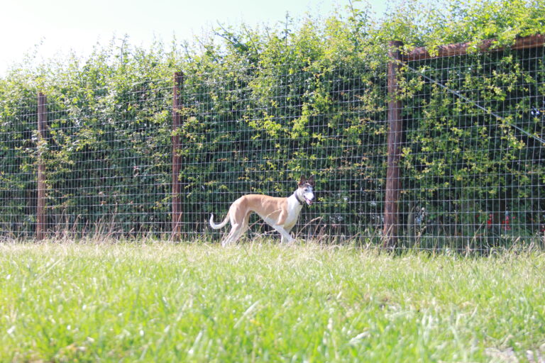 2111 50da146252bb0e037f2f469bf4da7b76 1 768x512