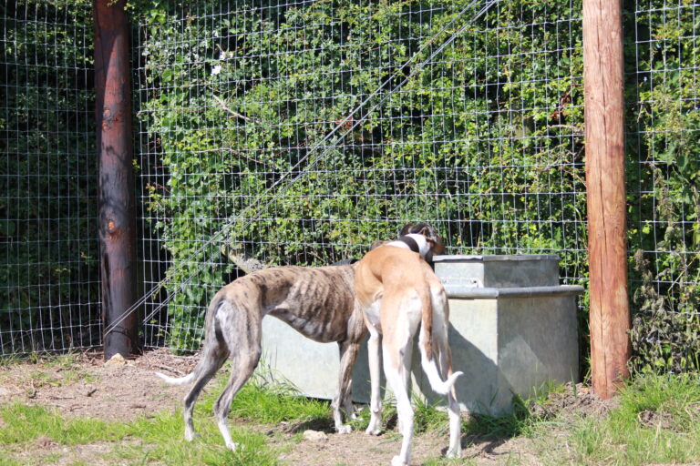 2111 885a18ba3a90cc209390d20852e56dfc 1 768x512