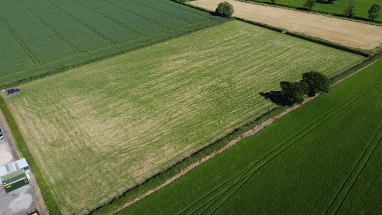 2111 a4235a633a89900e4ebf01dea6e5b244 1 768x432