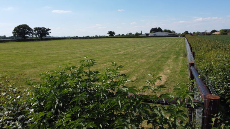 2111 c2a629fe6bd37b7b0fed4a94b6bf2950 1 scaled 768x432