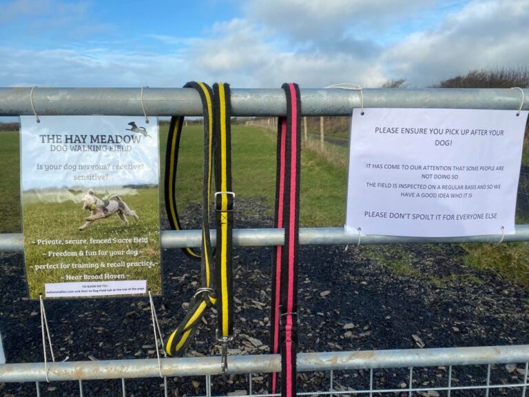 2112 2bb8211baeb7b3d15103b2490deef3e5 1 768x576