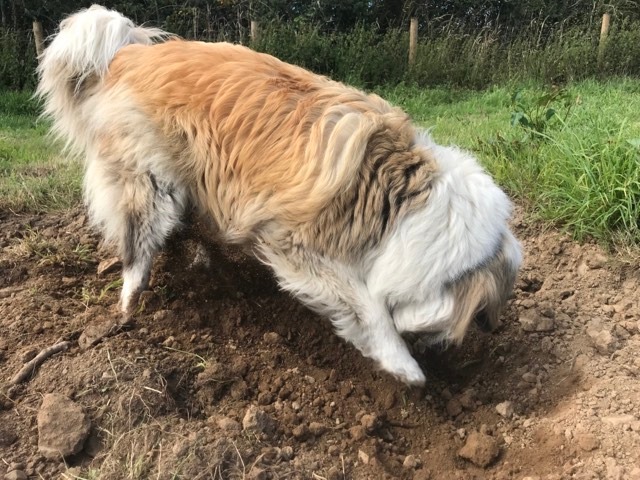 2112 87ee2c1843af44e6a438c70cd849a2e2 1