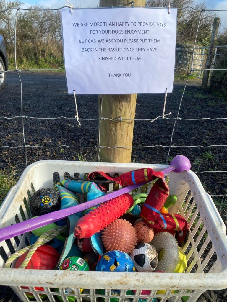 2112 93ab5a36eb2849d07ac9570c4aad118b 1 768x1024