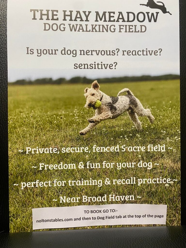 2112 b8e65cb60ad8c39e4c3470315815d62f 1 768x1024