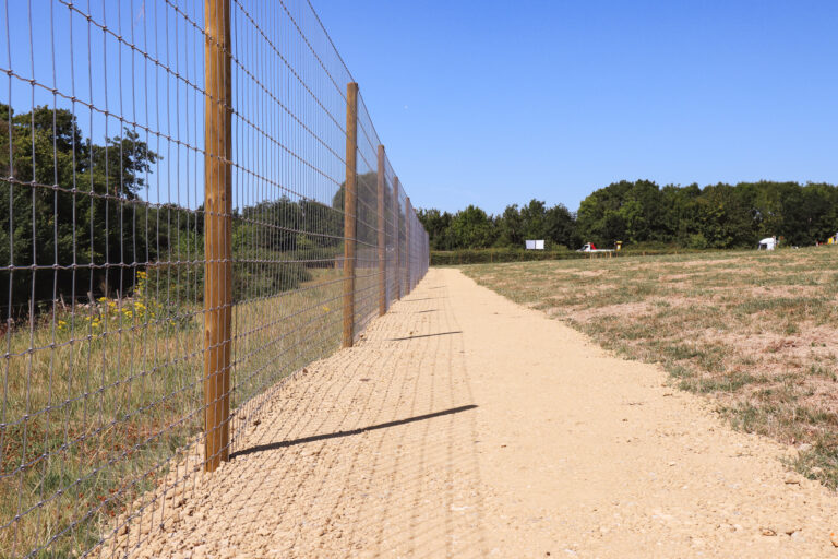 2114 19107fedb613e8cbafd356cb95cb5d35 1 768x512