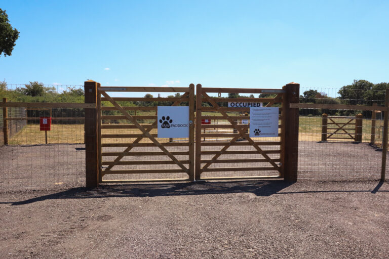 2114 421f6b6e1ec6542c0310b3faa6407c25 1 768x512