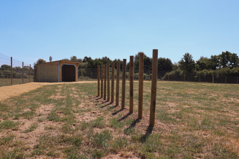 2114 d72c68c5d1e30cae9b6c755d878c3e75 1 768x512