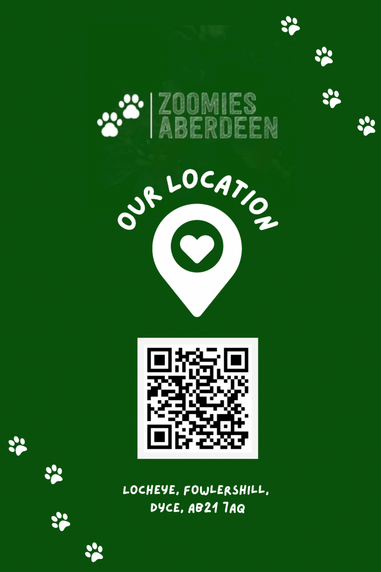 2116 03389e61674204502b2eb977086ba5e7 1 768x1152