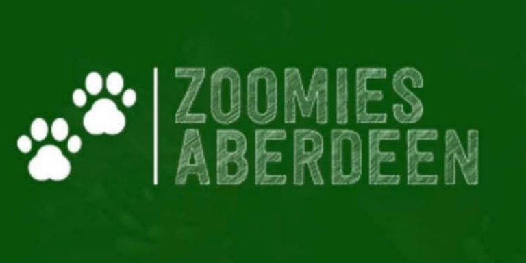 2116 25b9df1fa9d33b1827316531e2315a2f 1 768x384