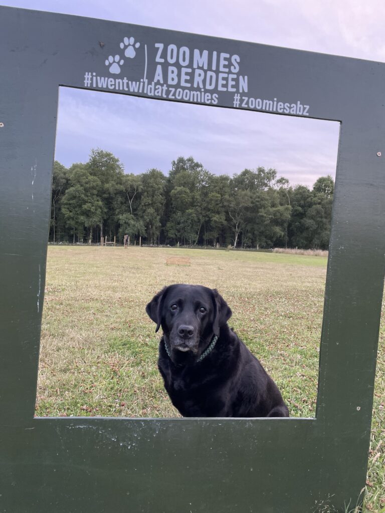 2116 5631071fda4455ea48a4d62aa7c4c10b 1 768x1024