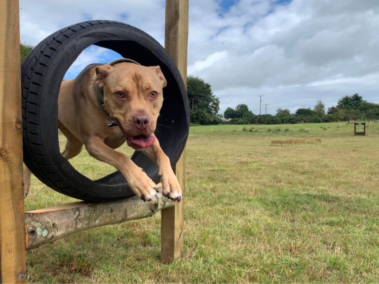 2116 56695e1c3041dd9b036b97f7273937ce 1 768x576