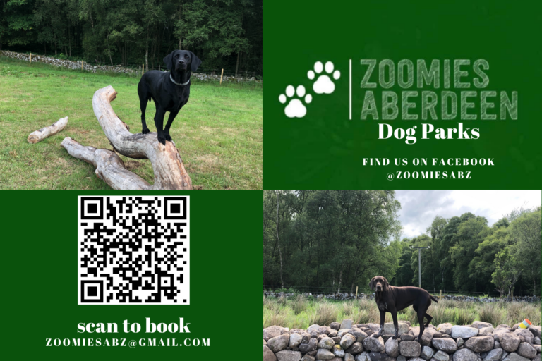 2116 570b3ef11c2539e82fb0b18f79c90914 1 768x512