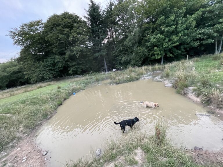 2116 70801dbf5356c08cc26136bb40ec2edc 1 768x576