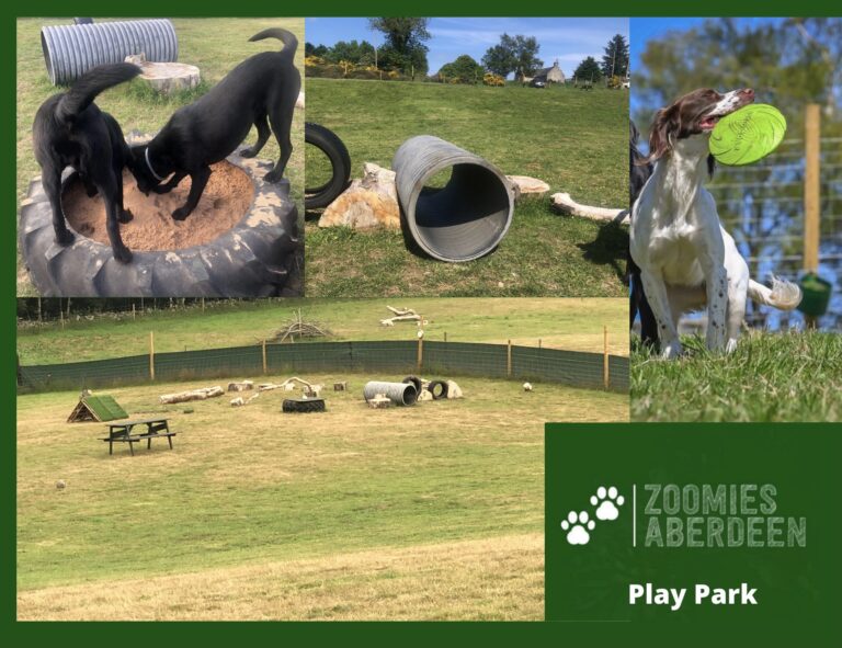 2116 70c440caf1472d68920263e354a93a0c 1 768x591