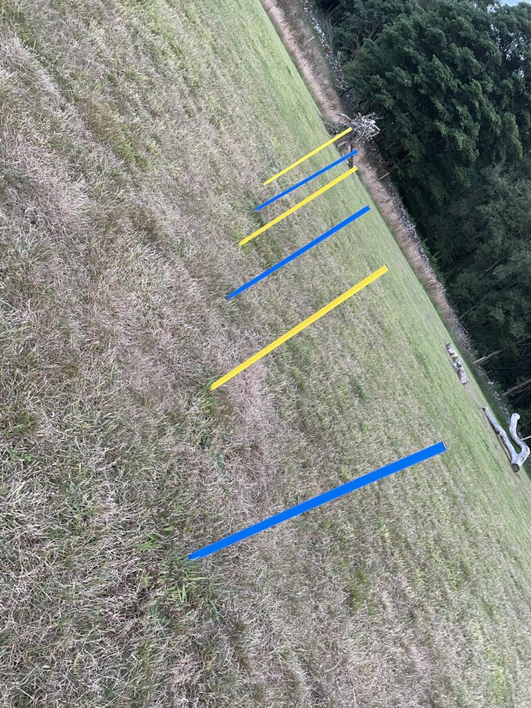 2116 72981d554bd524f57bbdc4e274b5d8cf 1 768x1024