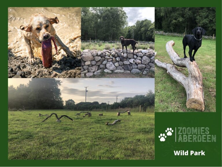 2116 72d573652e270a0035483e811a09f415 1 768x578