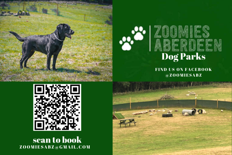 2116 9a6c3e2b5b604b798c05b01f8d7d66e3 1 768x512