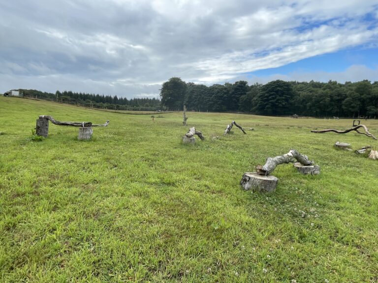 2116 b3b5bd6cb834a83564834bfaf2fdf201 1 768x576