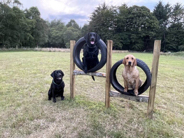 2116 b523c40341b44148797f649e3da5c6ee 1 768x576