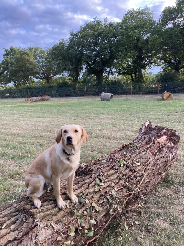 2118 689c7e5c9c3c6a4527eff453c3902bbf 1 768x1024