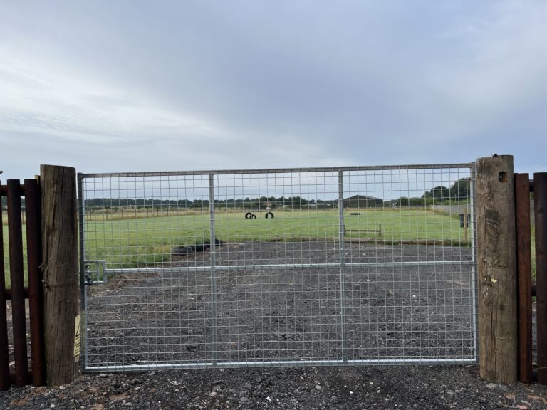 2123 1ab012baaecf644f0e806ed3c3e10312 1 scaled 768x576