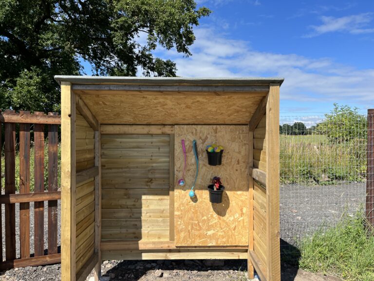 2123 d32da66bf8a89a7e7ecafa04fa4a817f 1 768x576