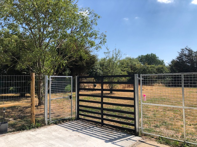 2124 02c448815b2c44183b5c7288b43755fa 1