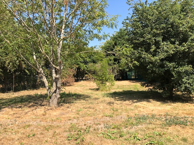 2124 5491a1409dedd1302bb533808f4d6330 1