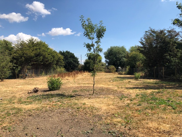 2124 91ec7bab449b84cb7d34a2b70b0c5ba7 1