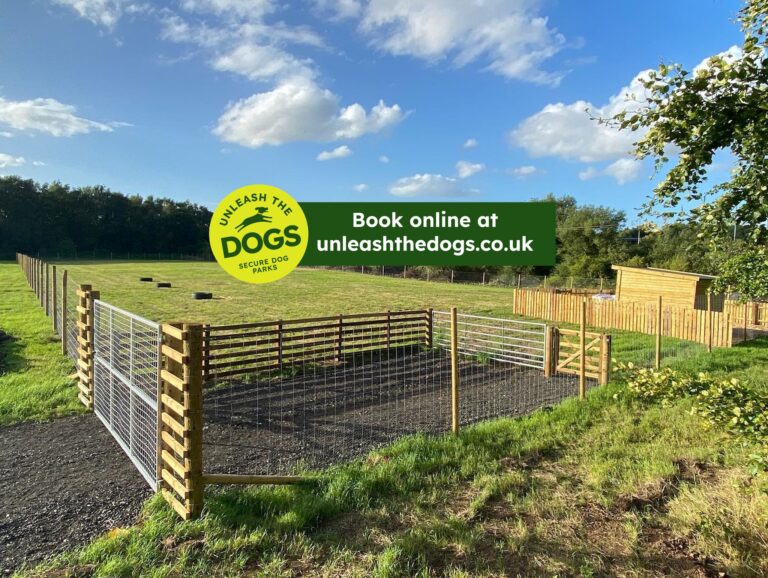 2134 fd2cca698282dafe4bd16139ecec458d 1 768x578