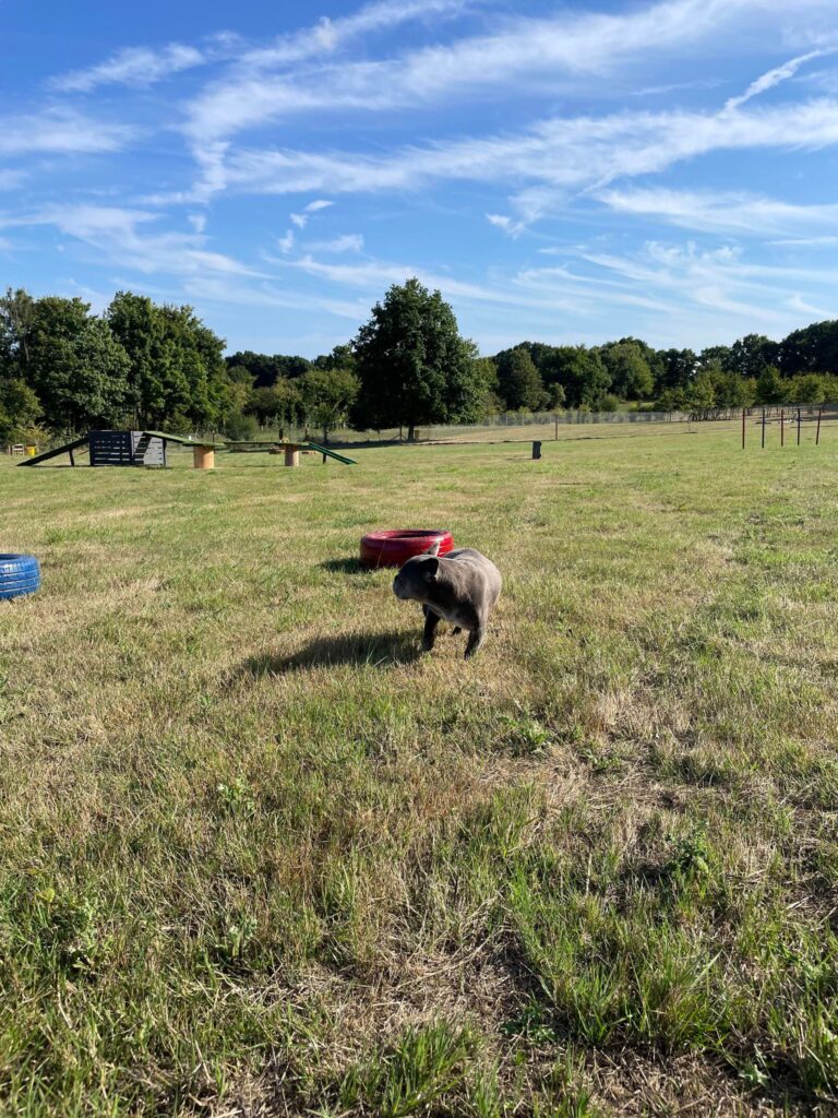 2135 397d8225e6084808c8a83c790ebdf486 1 768x1024