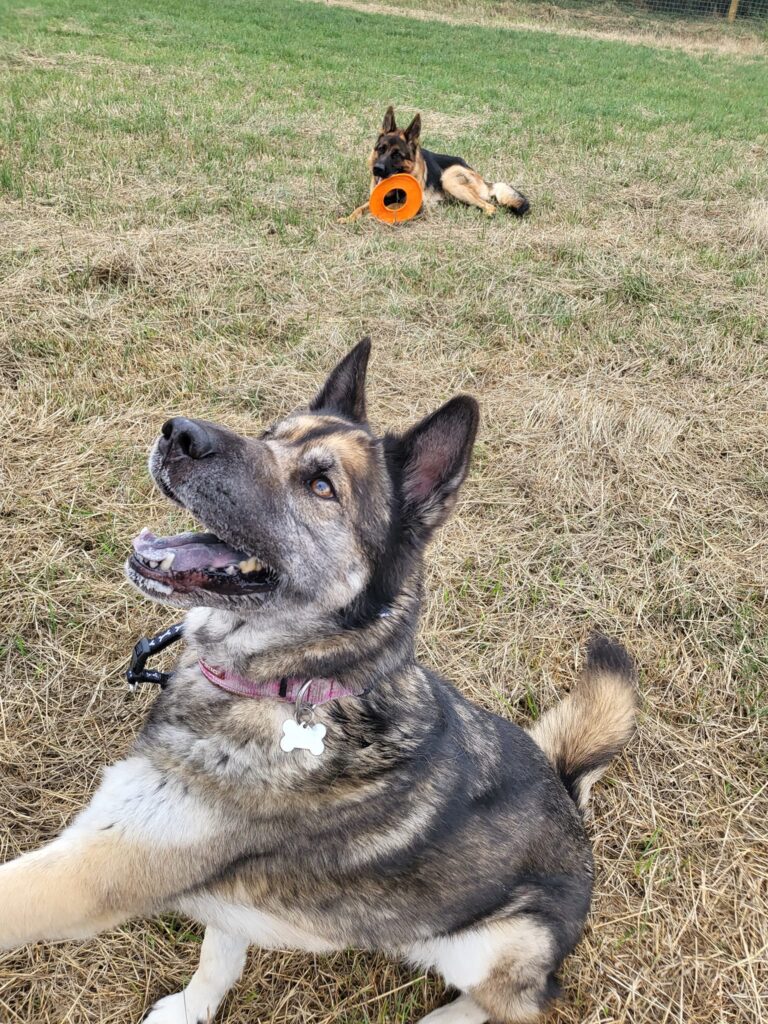 2136 0716c8e11ebcf90cd8f32c9abac89589 1 768x1024