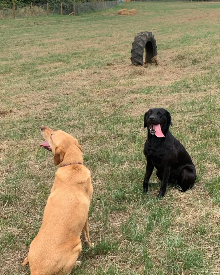 2136 0719ca198e37a5f2db8aeee93c0ba8b6 1 768x960