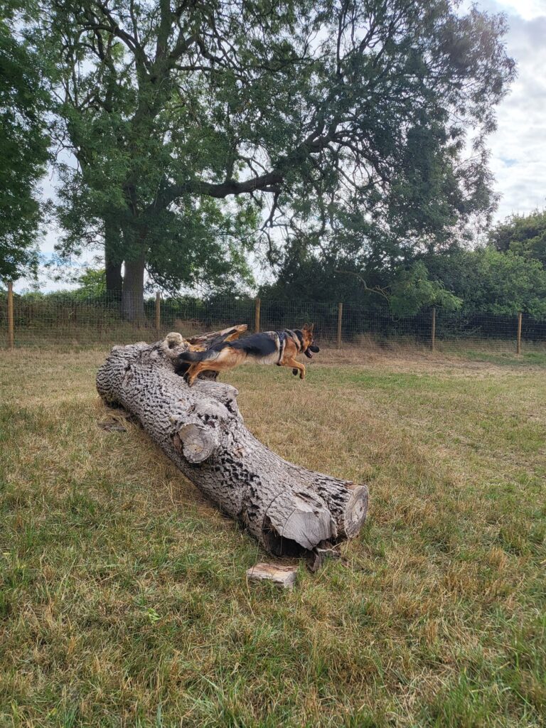 2136 0b12c846cbc4c59e839b2be4d901e733 1 768x1024