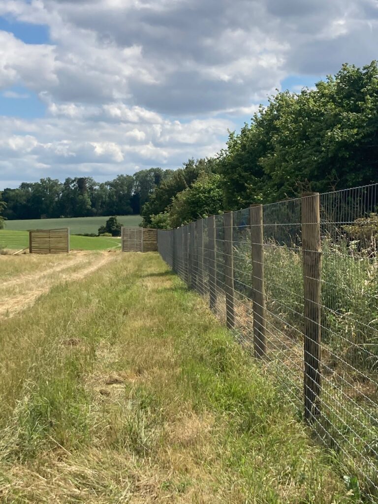 2136 55265ca7f1e18f2a19d2f5233330873c 1 768x1024