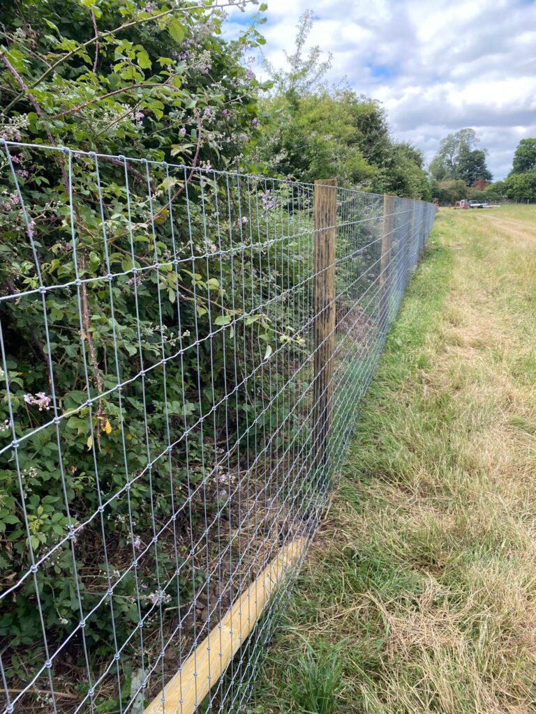 2136 5a8f7e69f3b3e80057314fd9284f4349 1 768x1024