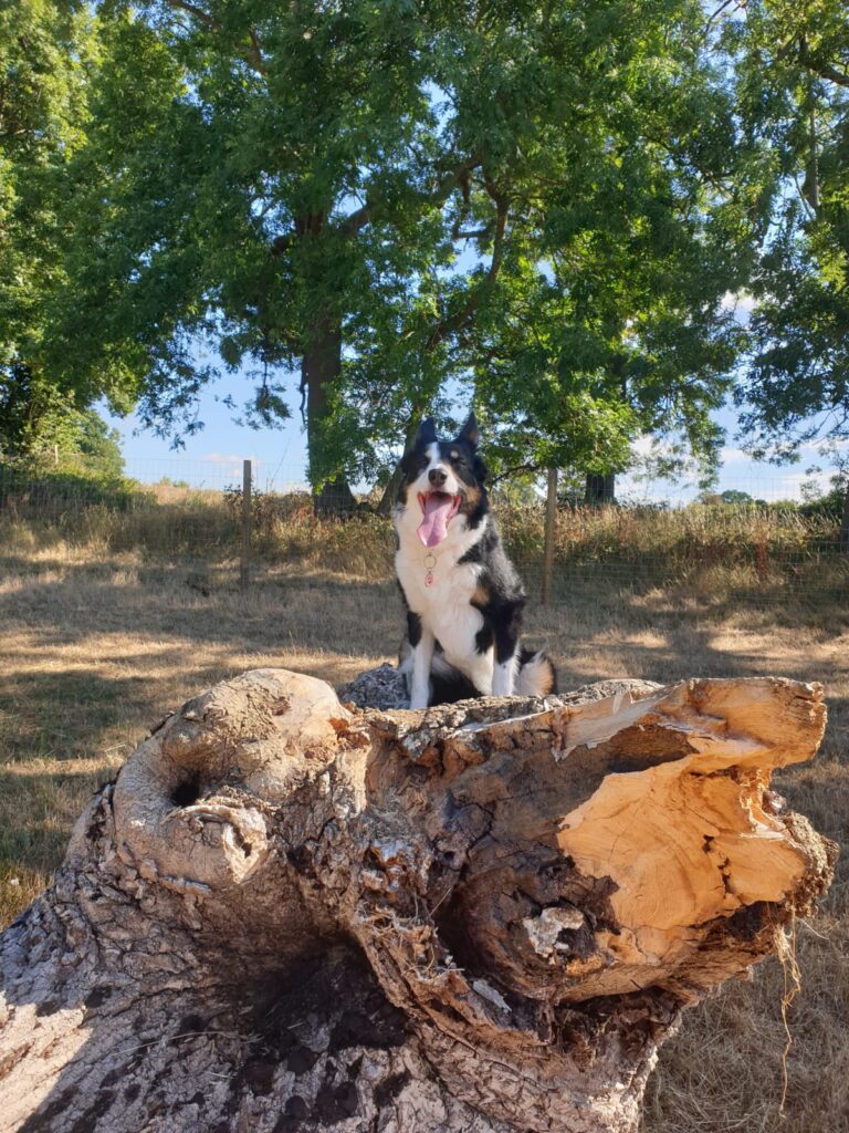 2136 824d7e777f798607742ddf995a76c05e 1 768x1024