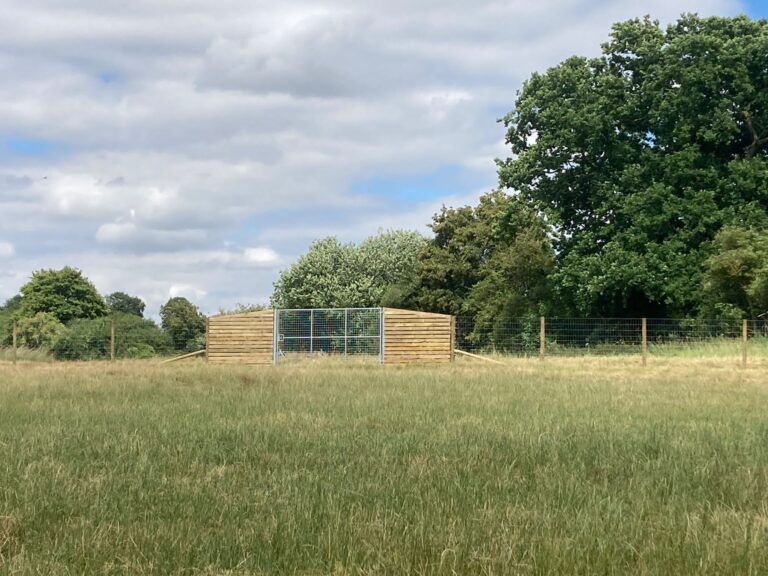 2136 c01fe9c106b3de8d2c2f821e7d293a0f 1 768x576