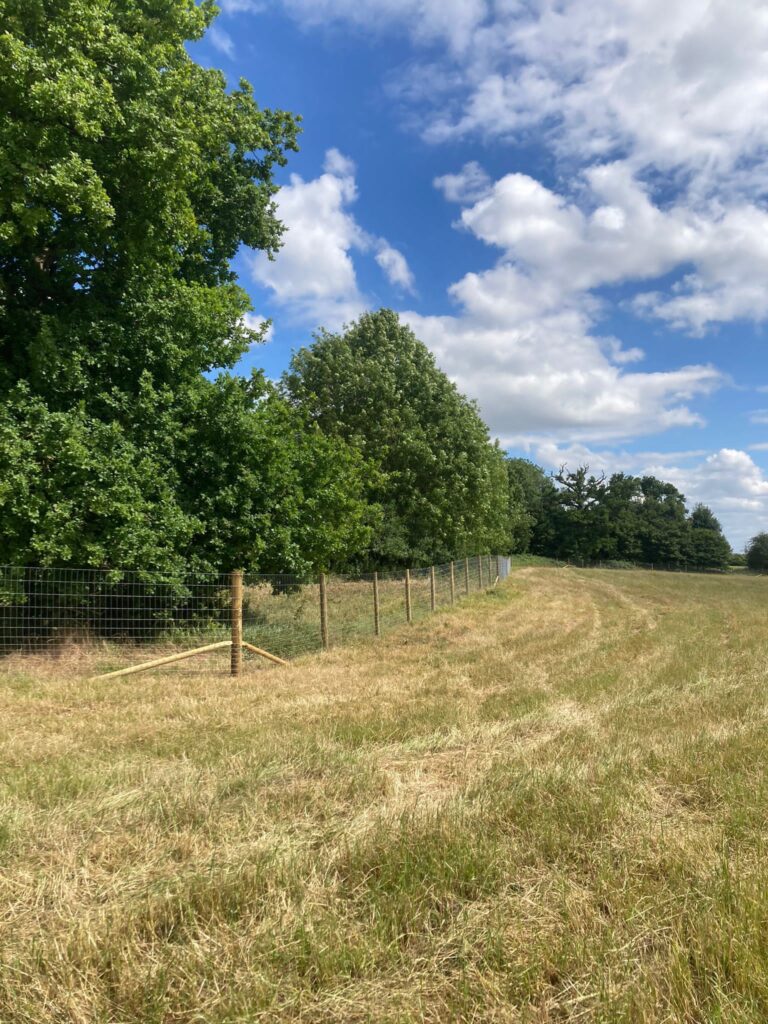 2136 c94f8ccc766a2c87f82475e809d58148 1 768x1024