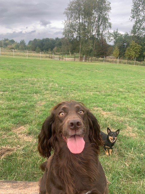 2138 224c179dcd282eb629e892667ceeeb2e 1