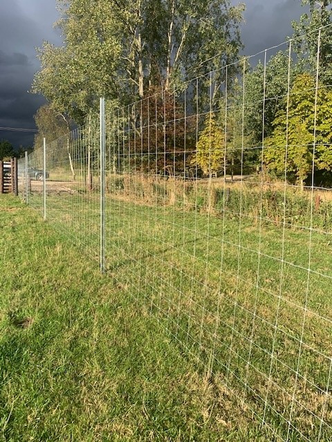 2138 64169d77e5ad8ed7bdef05bfceb013dc 1