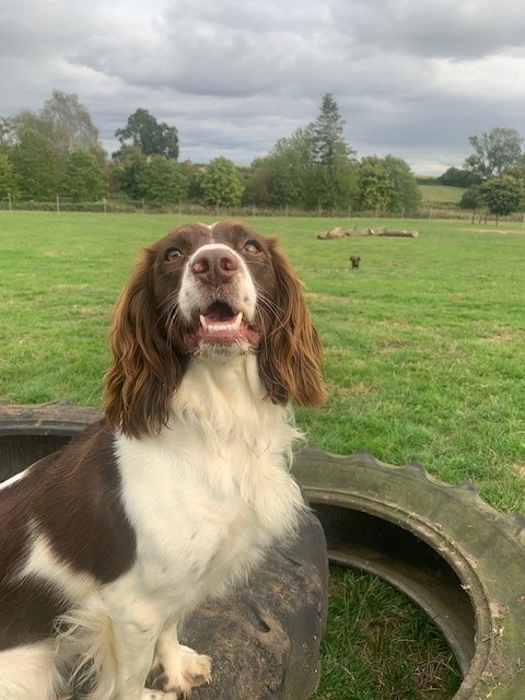 2138 673445cf672aa5539780f19a29deb1fb 1